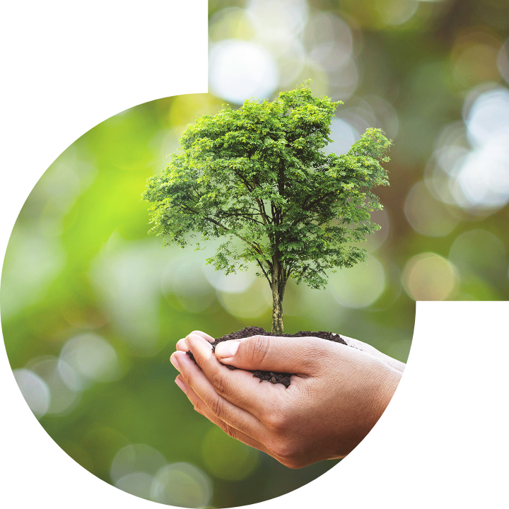 ��?�Ļ�?�h��?����ؤ���]