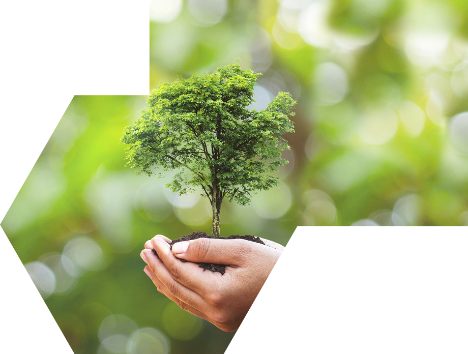 ���Ё����΄���