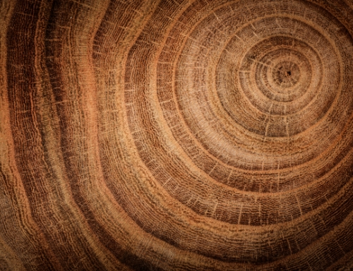 �h���γ־A������